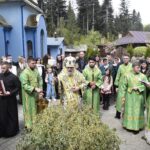 439134120_743984224566774_1568948144257265435_n